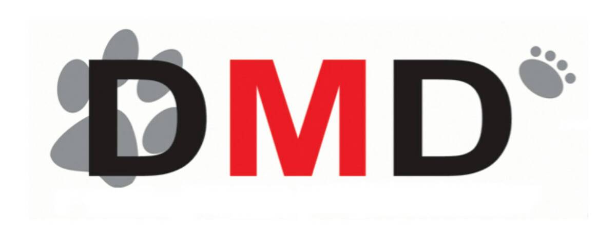 DMD Didier Morain Distribution